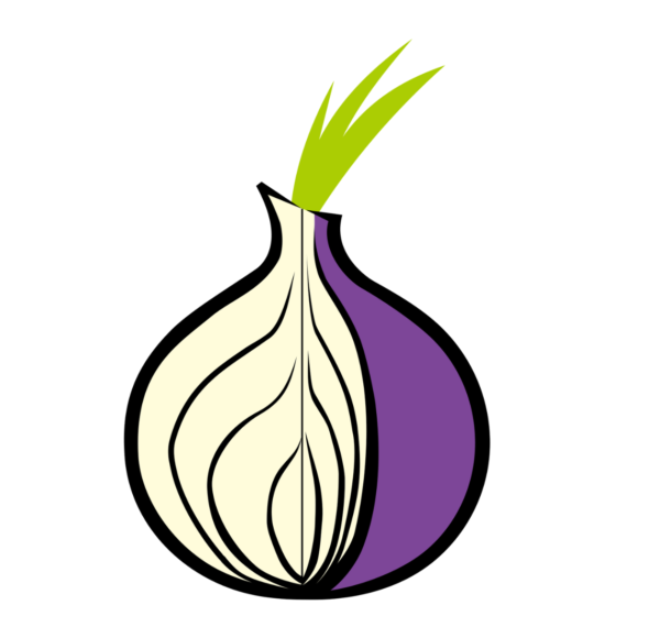 تحميل متصفح تور براوزر 2025 Tor Browser أفضل متصفح خصوصية مجاني وآمن